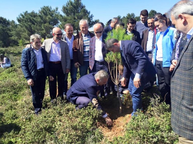 Ak Parti Ataşehir Ağaç Dikme Etkinliği 2016
