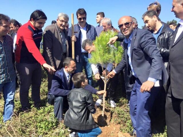 Ak Parti Ataşehir Ağaç Dikme Etkinliği 2016