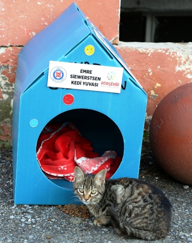 ATAŞEHİR BİL KOLEJİ ÖĞRENCİLERİ CAN DOSTLARINA SICAK YUVA YAPTILAR