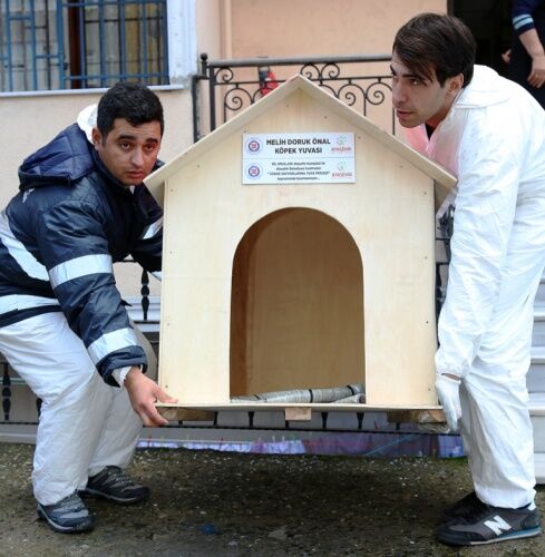 ATAŞEHİR BİL KOLEJİ ÖĞRENCİLERİ CAN DOSTLARINA SICAK YUVA YAPTILAR