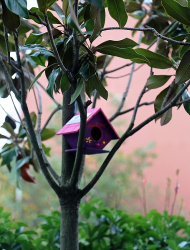 ATAŞEHİR BİL KOLEJİ ÖĞRENCİLERİ CAN DOSTLARINA SICAK YUVA YAPTILAR