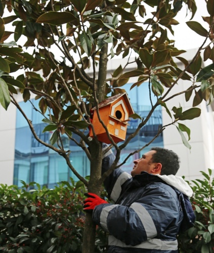 ATAŞEHİR BİL KOLEJİ ÖĞRENCİLERİ CAN DOSTLARINA SICAK YUVA YAPTILAR