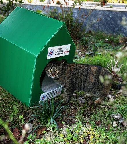 ATAŞEHİR BİL KOLEJİ ÖĞRENCİLERİ CAN DOSTLARINA SICAK YUVA YAPTILAR