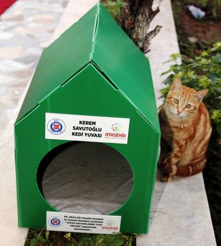 ATAŞEHİR BİL KOLEJİ ÖĞRENCİLERİ CAN DOSTLARINA SICAK YUVA YAPTILAR