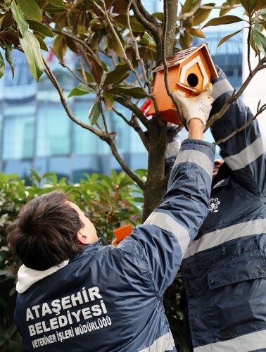 ATAŞEHİR BİL KOLEJİ ÖĞRENCİLERİ CAN DOSTLARINA SICAK YUVA YAPTILAR