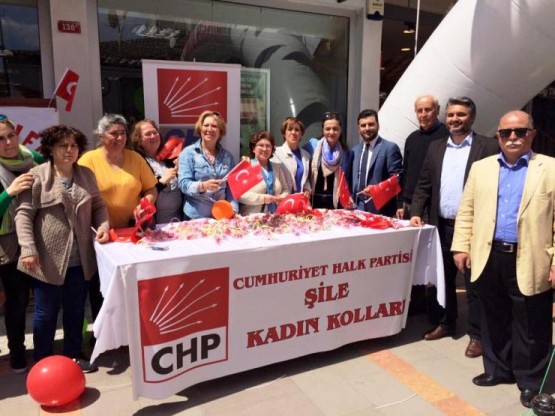 Gamze Akkuş İlgezdi Şile CHP Milletvekili Seçim Çalışması 2015