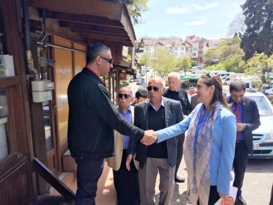 Gamze Akkuş İlgezdi Şile CHP Milletvekili Seçim Çalışması 2015