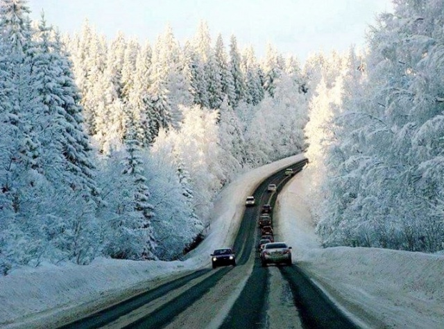 Ilgaz Kış Manzaraları 2015