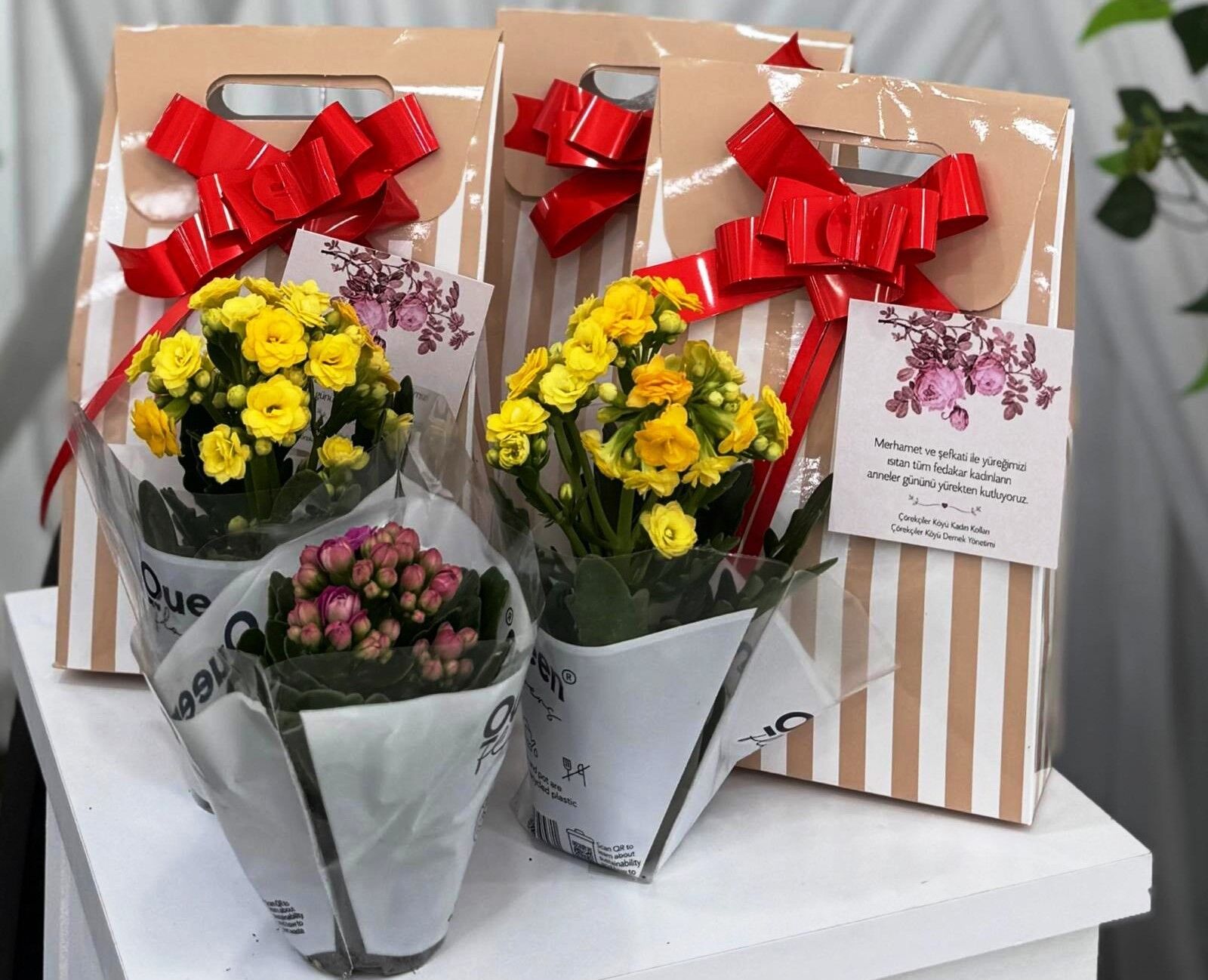 Anneler Günü, Çörekçiler Köyü, Dernek Başkanı, Cemil Avcı,03
