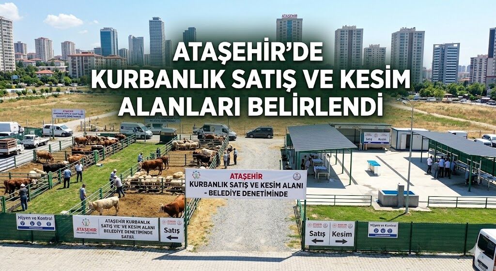 Ataşehi̇r’de Kurbanlik Satiş Ve Kesi̇m Alanlari Beli̇rlendi̇