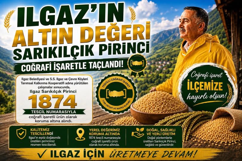 Ilgaz’ın Sarıkılçık Pirinci Coğrafi İşaret Aldı!