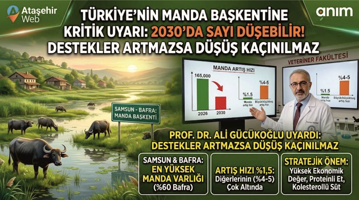Türkiye'nin Manda Başkentine Kritik Uyarı 2030 Yılında Büyük Tehlike!