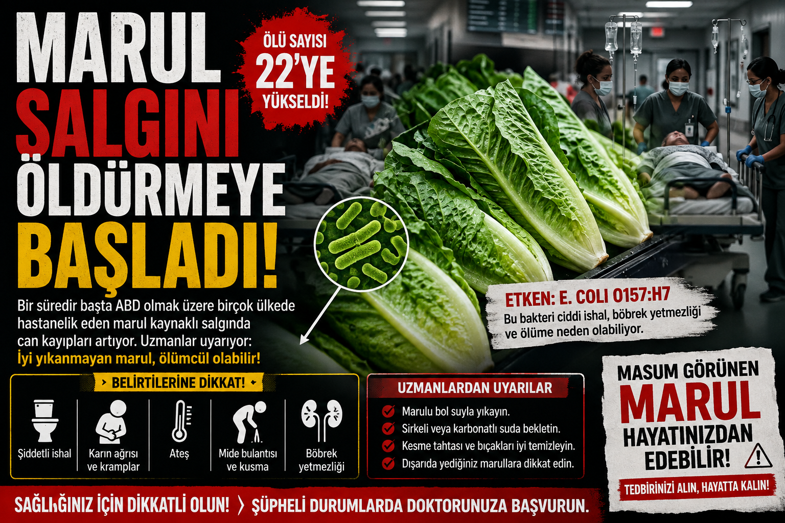 Marul Salgini Öldürmeye Başladi