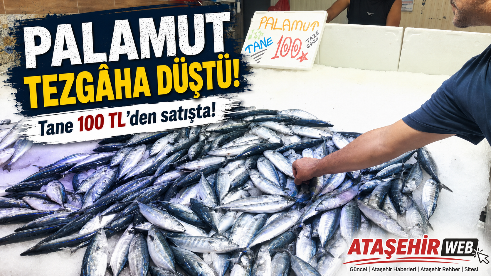 Palamut Tezgâha Düştü!