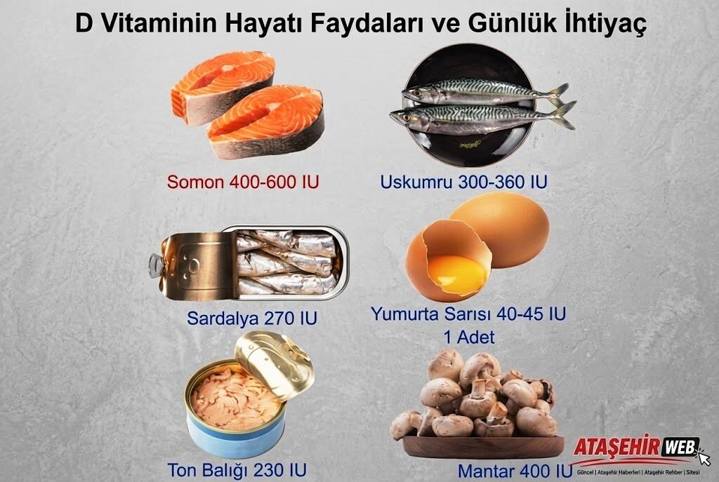 D Vitaminin Hayati Faydaları Ve Günlük İhtiyaç