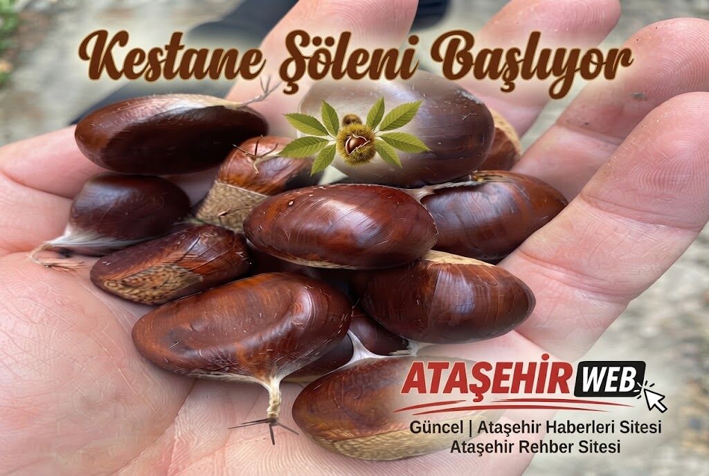 Kestane Şöleni Başlıyor