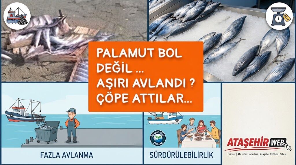 Palamut Neden Çöp Oluyor
