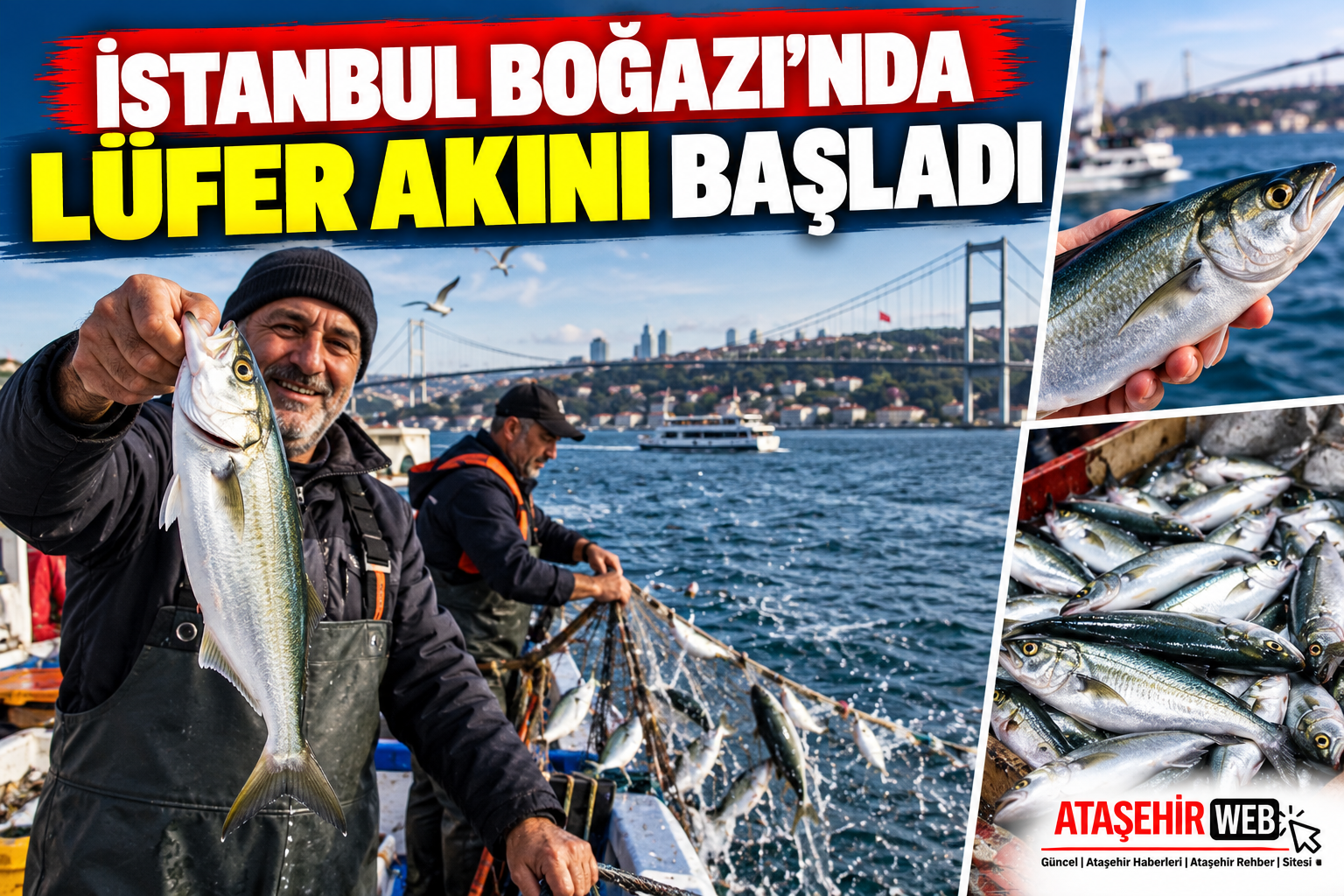 İstanbul Boğazı’nda Lüfer Akını Başladı
