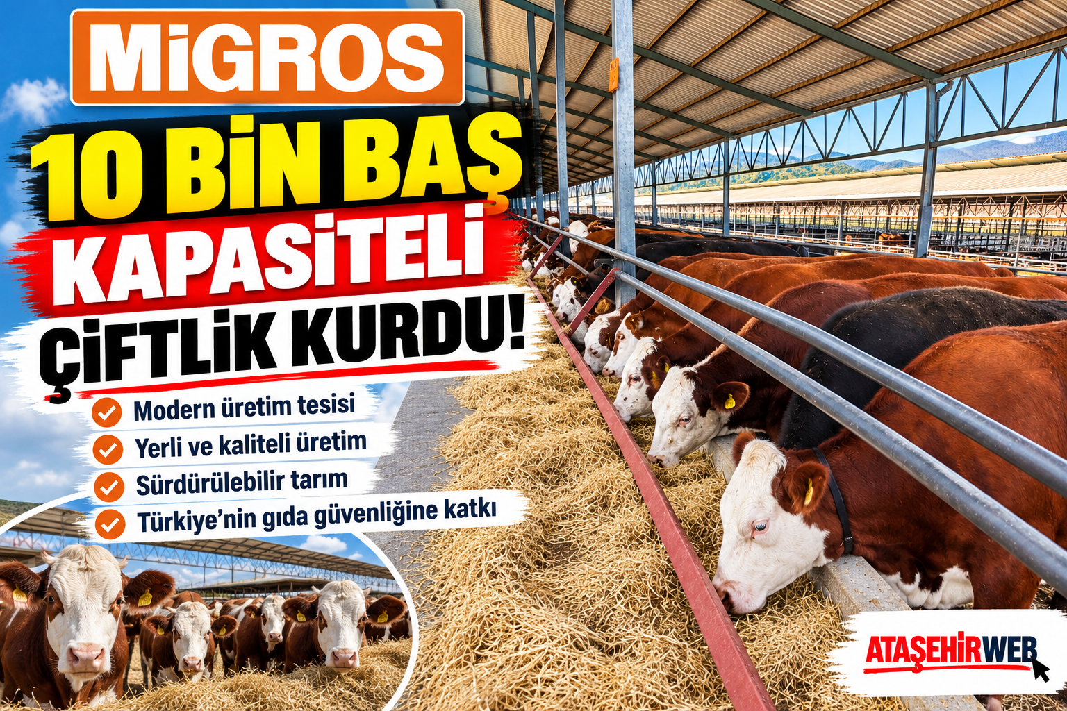 Migros’un 10 Bin Başlık Çiftliği