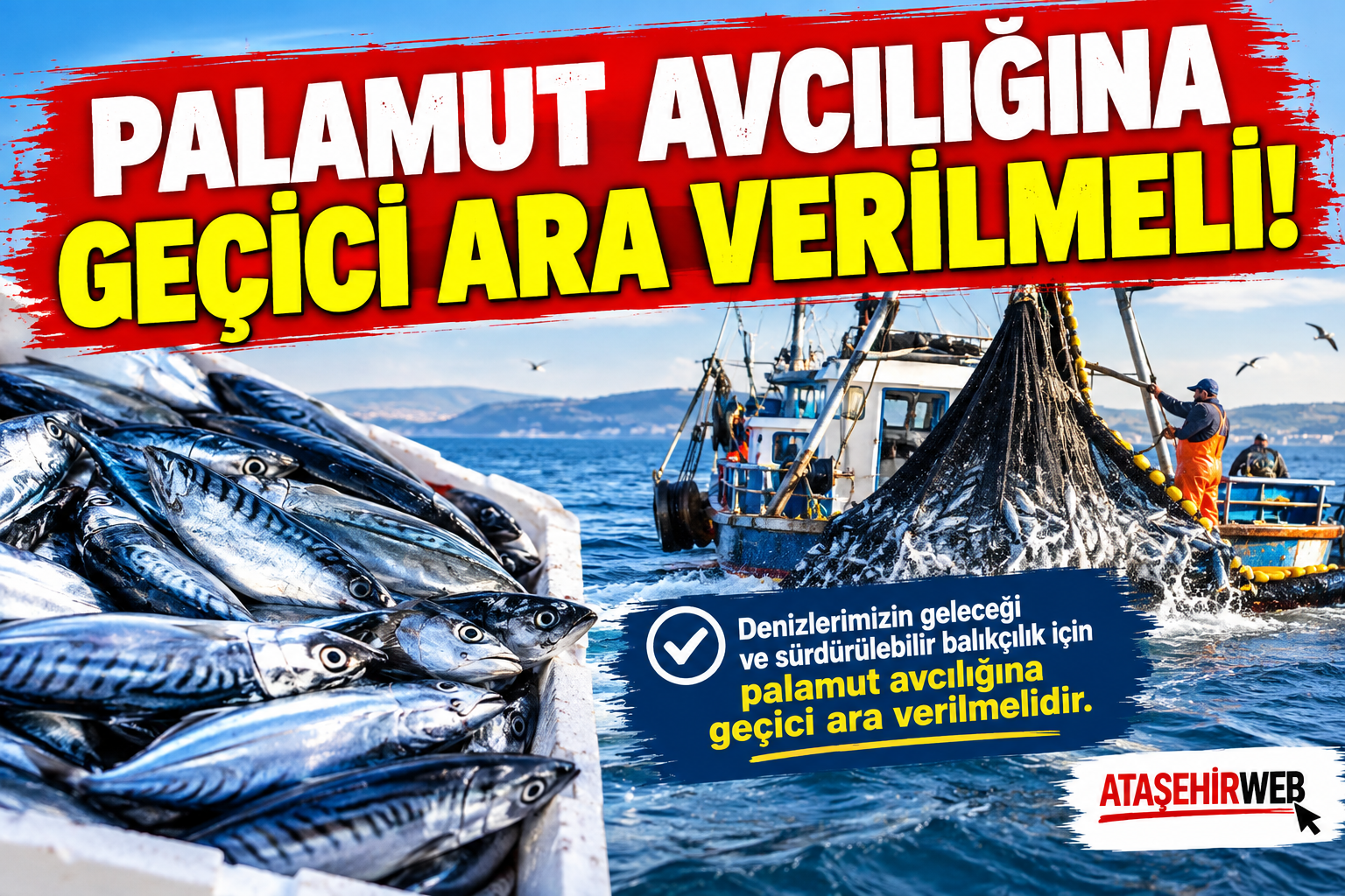 Palamut Avcılığına Geçici Ara Verilmeli