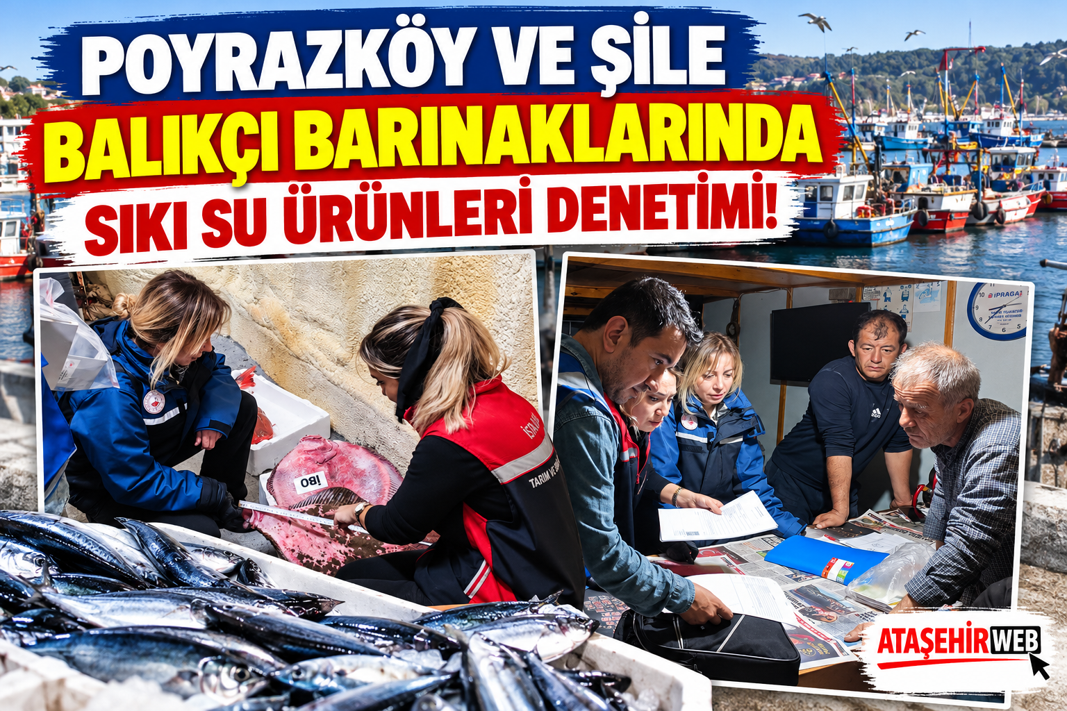 Poyrazköy Ve Şile’de Sıkı Su Ürünleri Denetimi