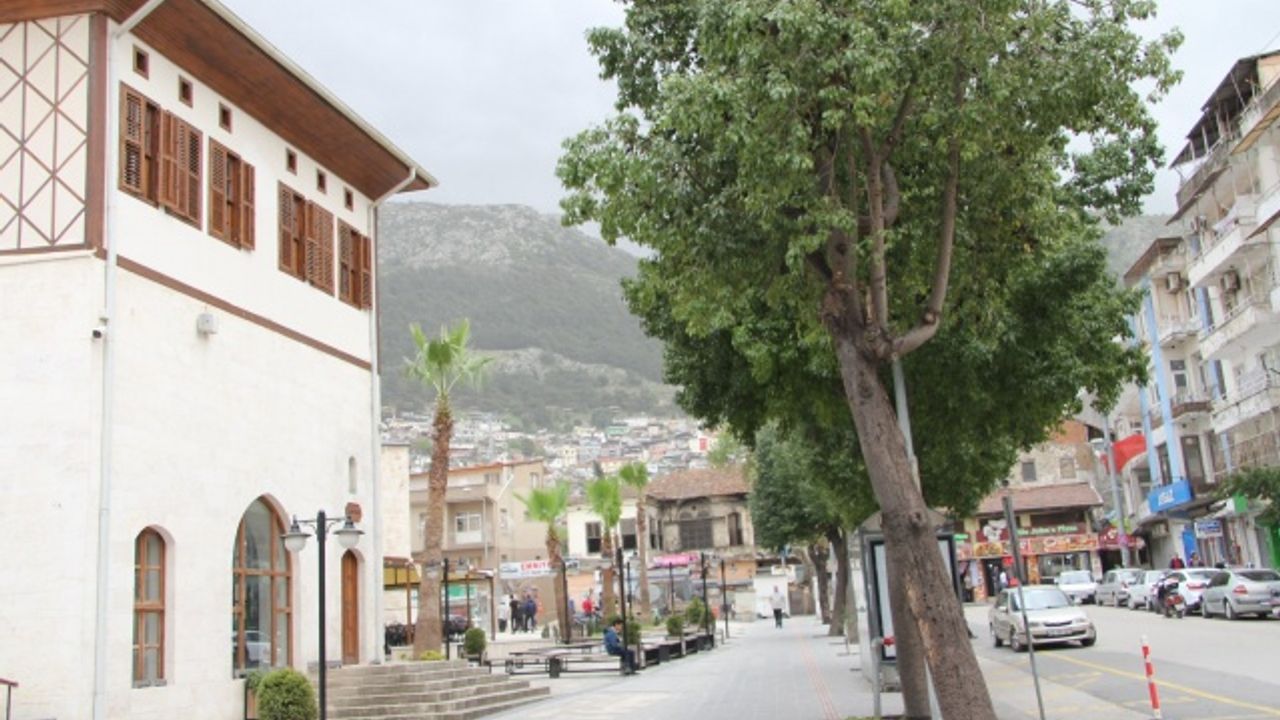 ATAŞEHİR BİRLİK PLATFORMU ZEYTİNDALI HAREKATINDA AFRİN YOLUNDA MEHMETÇİĞİMİZİN YANINDA