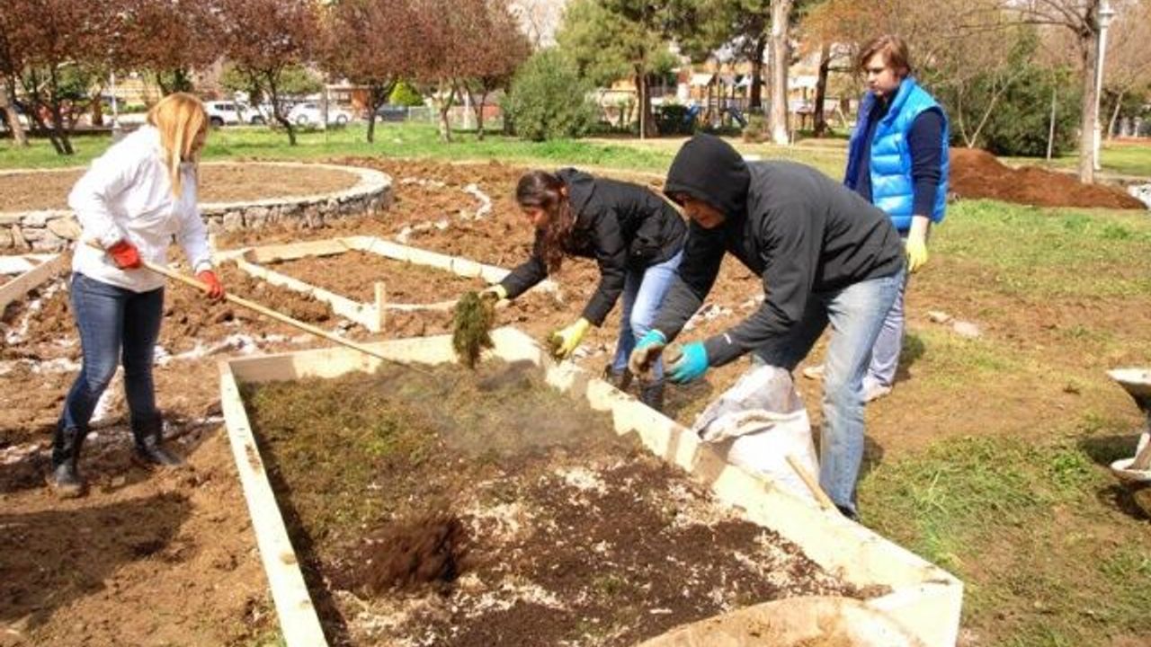 Kadıköy Fenerbahçe Parkı Bostan Oldu