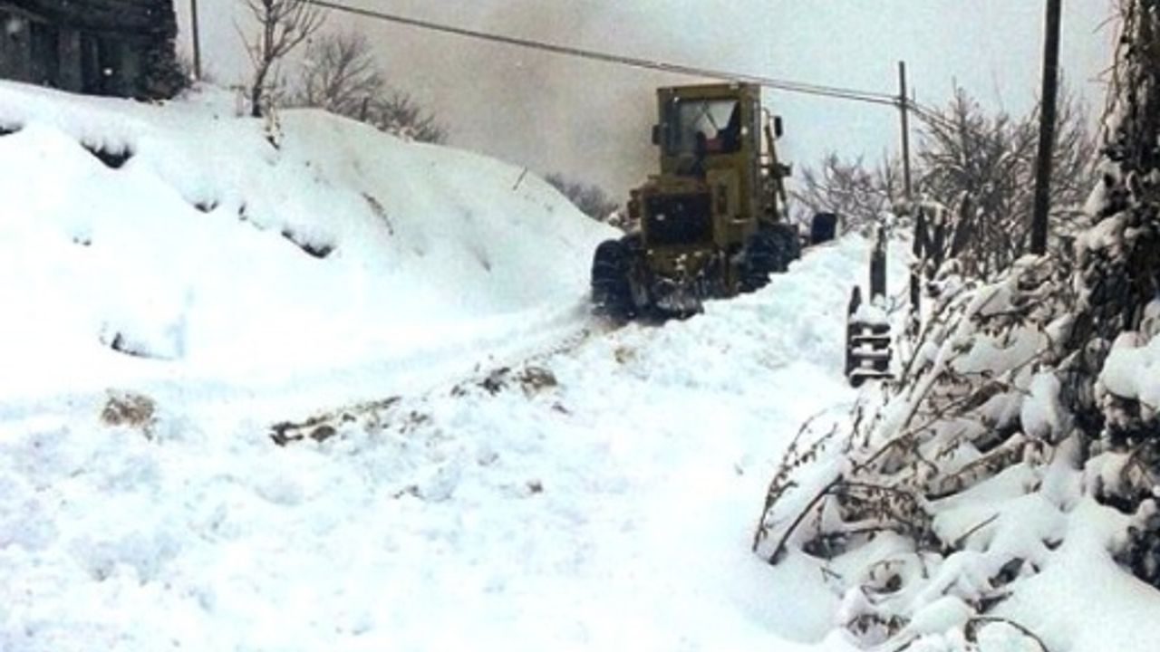 Sinop, Erfelek, Horzum Köyü Kış Manzaraları, 2016