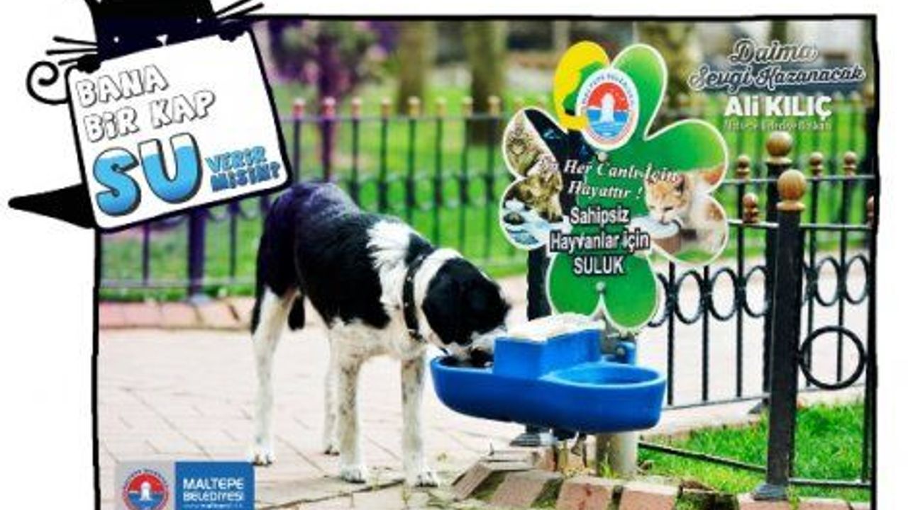 “Benim için bir kap su verir misin?”