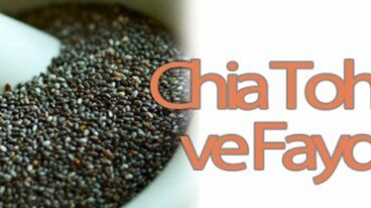 Chia Tohumu Nasıl Tüketilir? Faydaları Nelerdir?