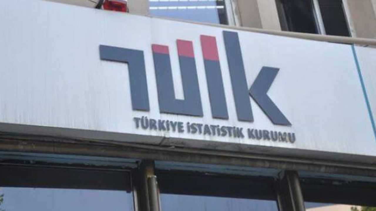 Sanayi ve Hizmet Sektörlerinde Yoğunlaşma, 2013