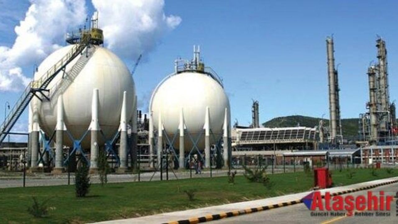 Goldman Sachs Petkim'e ortak Oldu