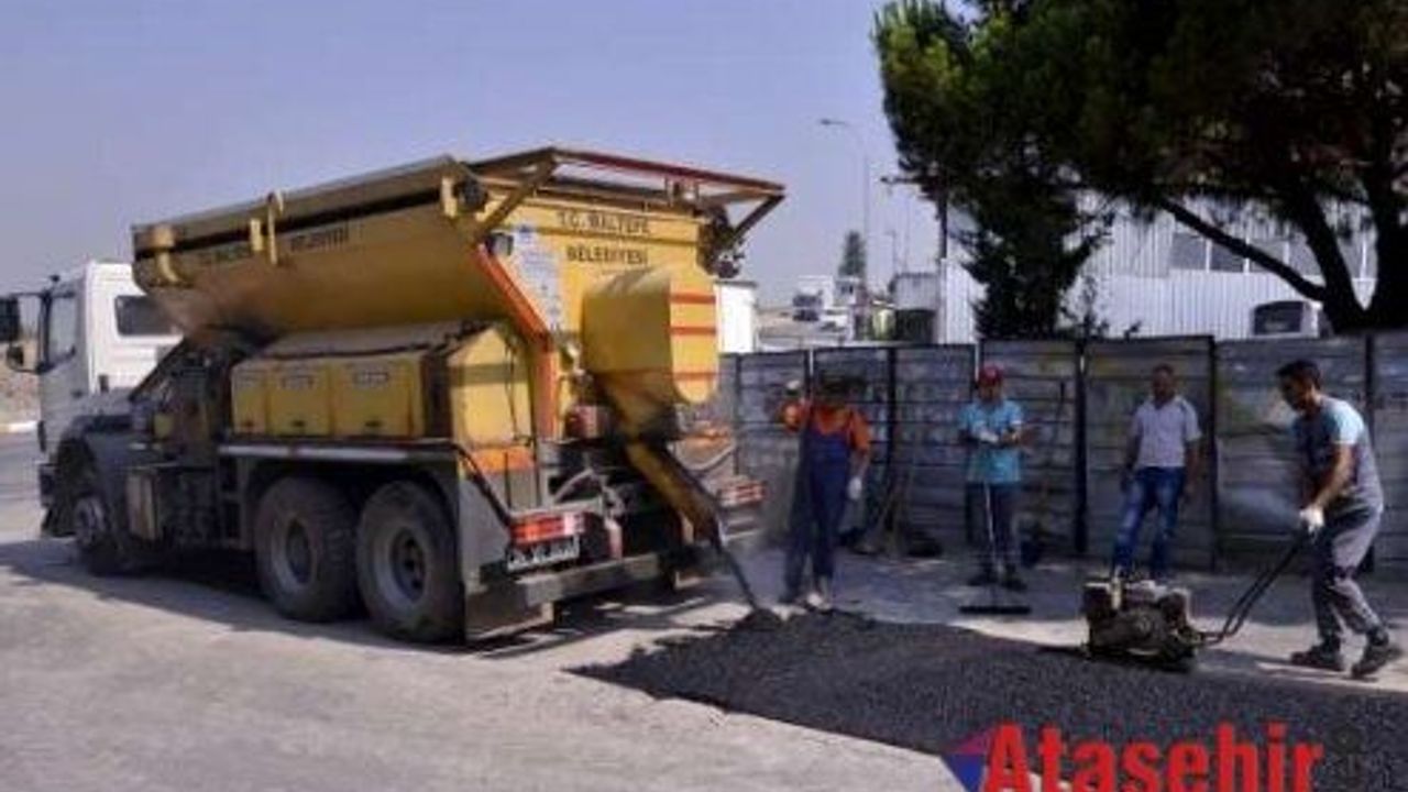 Maltep'de Yollar asfaltlanıyor, otlar biçiliyor