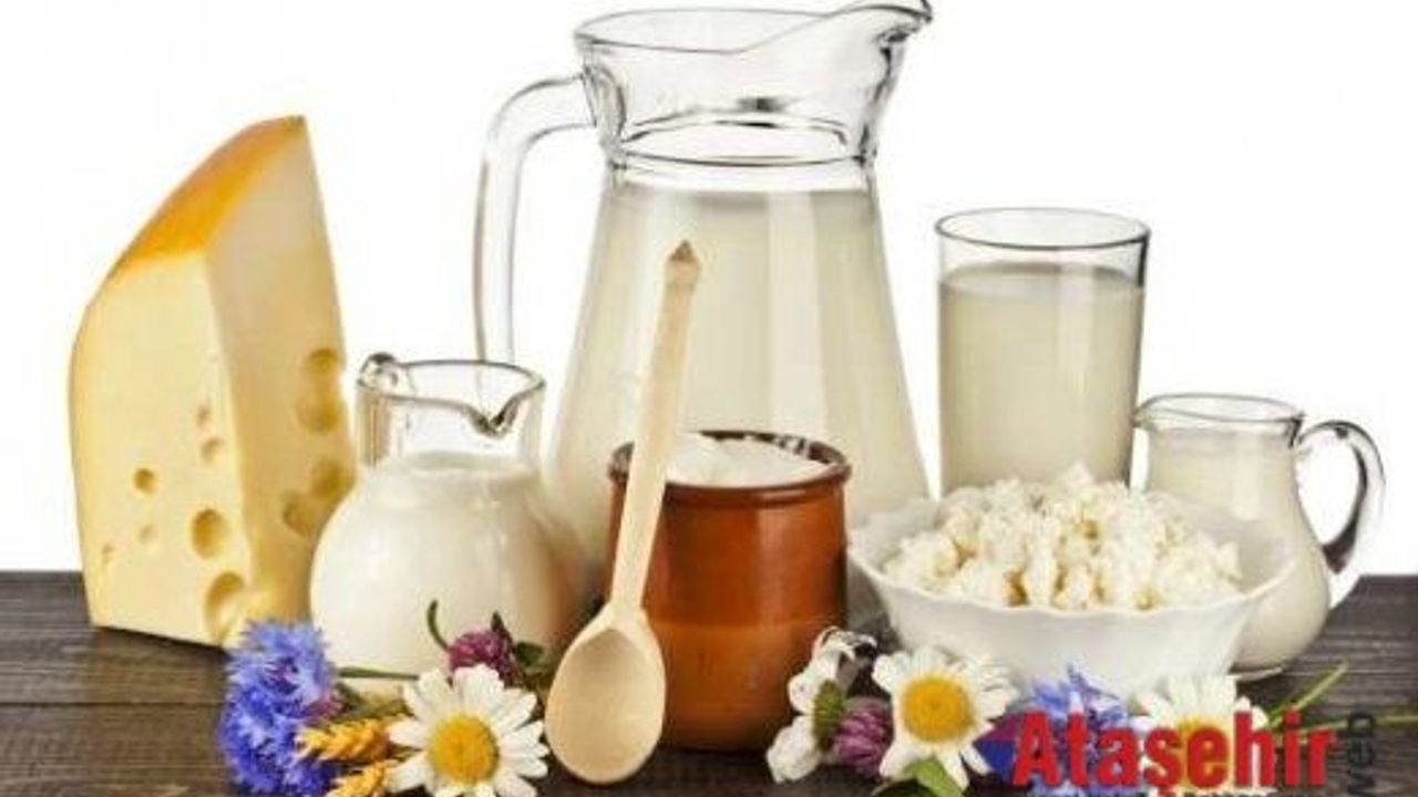 Süt ve Süt Ürünleri Üretimi, Haziran 2015