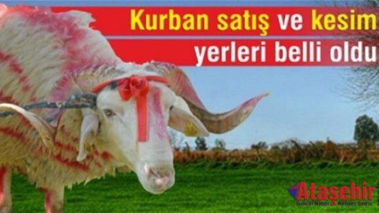 İstanbul'da kurban satış ve kesim yerleri belirlendi