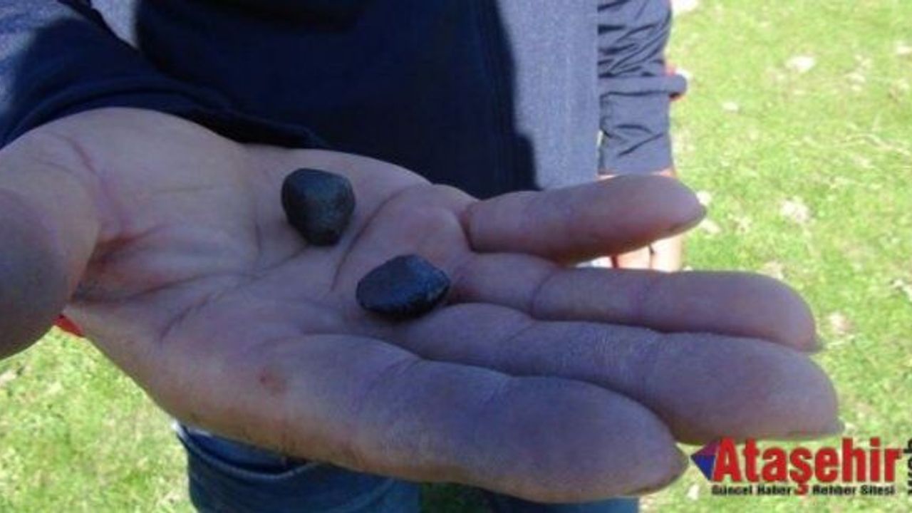 Bingöl'e Gökten Siyah Altın Yağdı