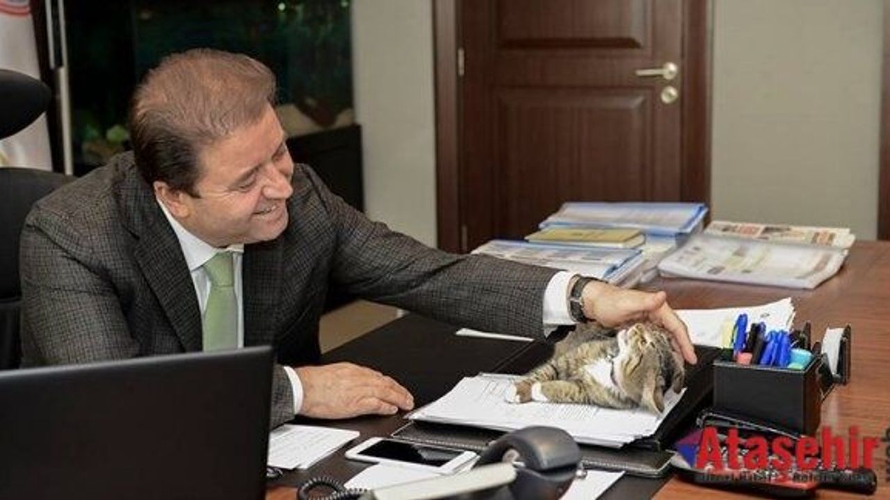 Makamda Kimseye Aldırış Etmeyen Bir ‘Nazlı’