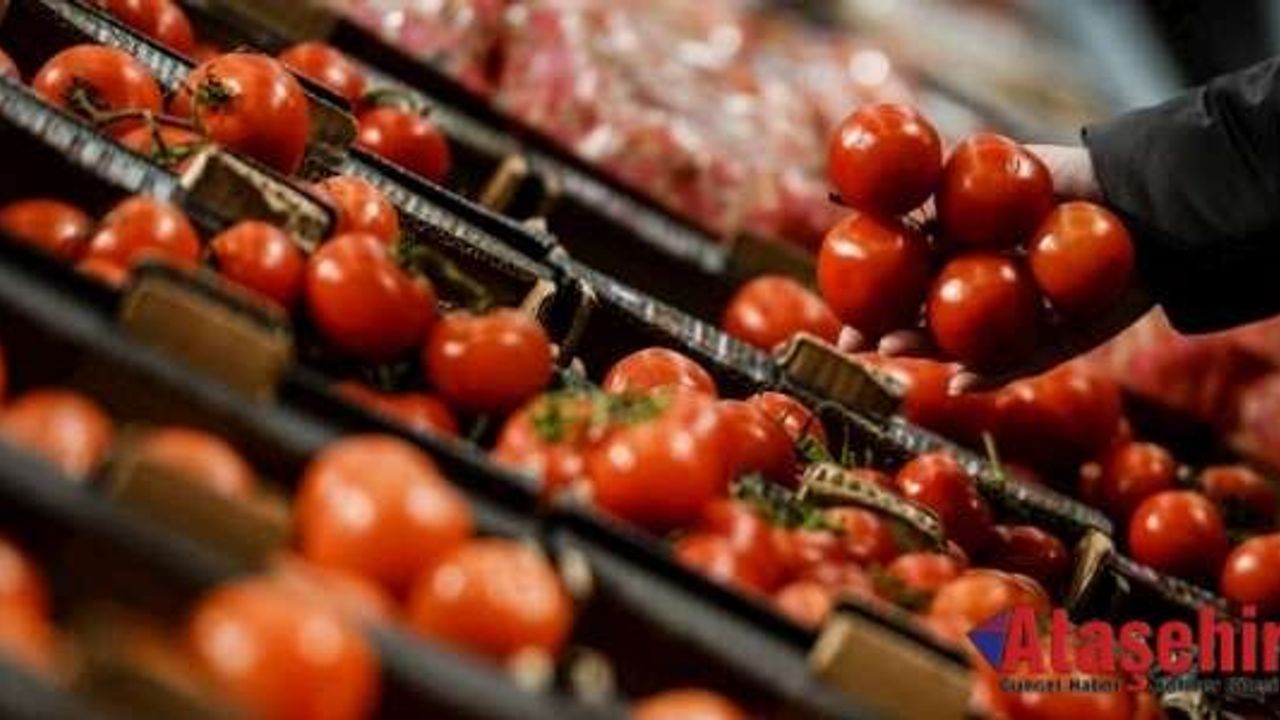 Ambargo sonrası Rusya'da Domates Fiyatları
