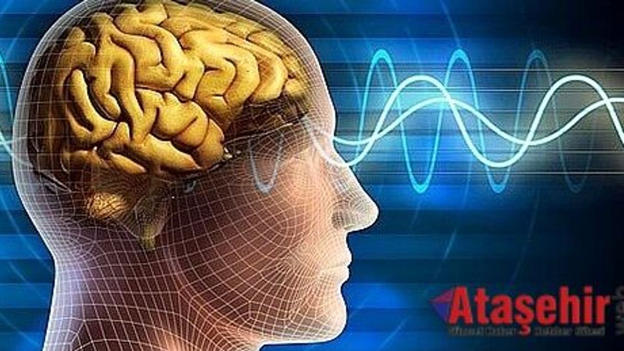 İnsan Beynini daha iyi çalıştırmanın yolları