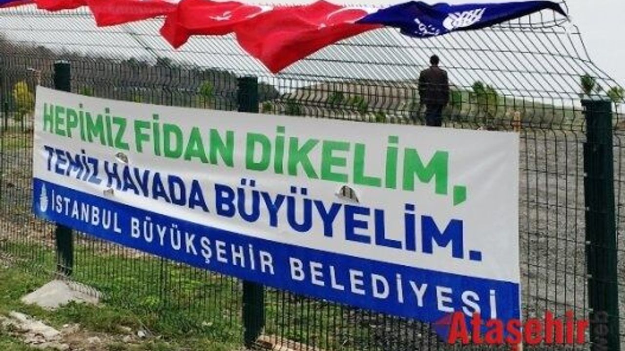 İBB KARBON AYAK İZİ HATIRA ORMANI