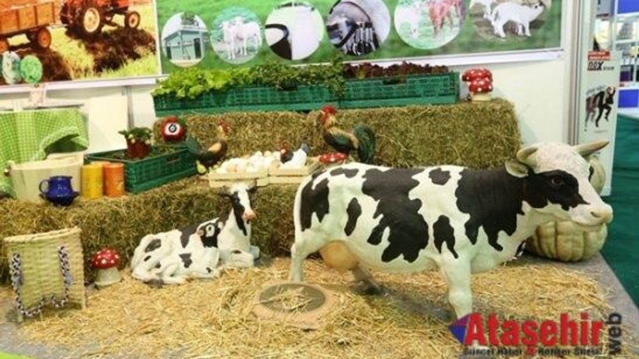 Doğal ve Organik Ürünler Dünya’ya Açılıyor