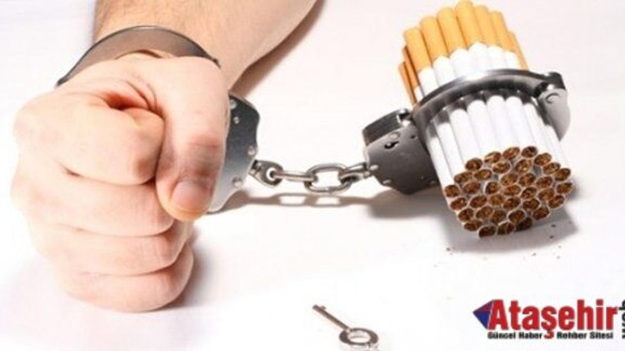 Günde 1 sigara bile bağımlılığa işaret