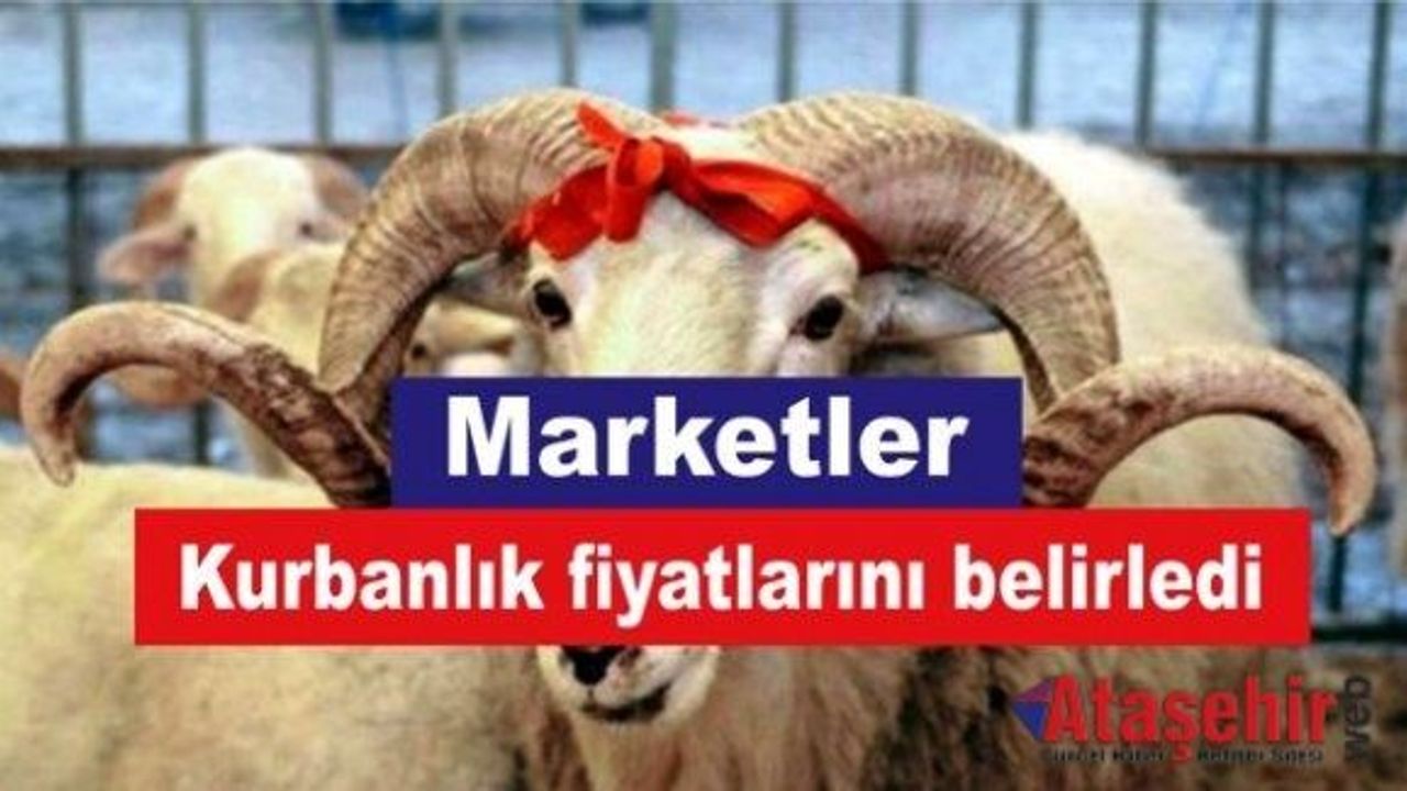 Marketler kurbanlık fiyatlarını belirledi