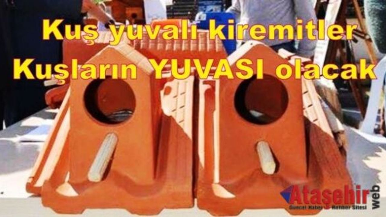 Kuş yuvalı kiremitlerle Kuşların yuvası olacak