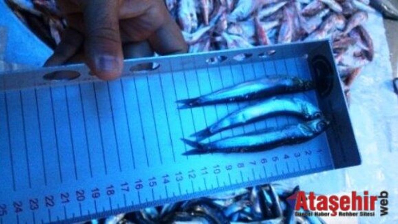 Balıkçılara denetim, bin 772 kg. balığa da el konuldu