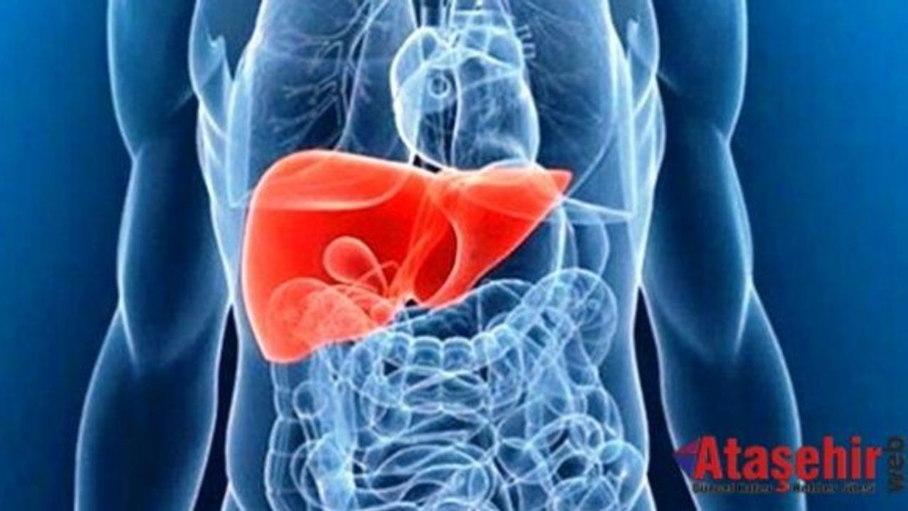 KARACİĞERİ KORUYAN 5 HAYATİ ÖNERİ