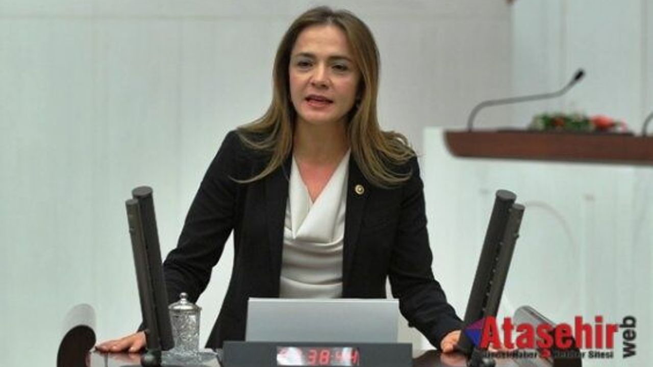 Gamze Akkuş İlgezdi, Freedom House'un özgürlükler raporunu Meclis'e taşıdı!