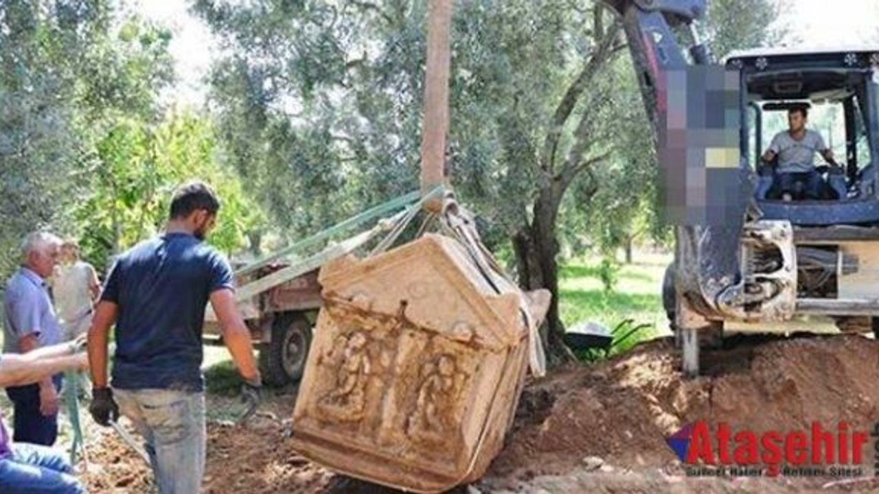 İznik'te Zeytin bahçesinden lahit fışkırıyor