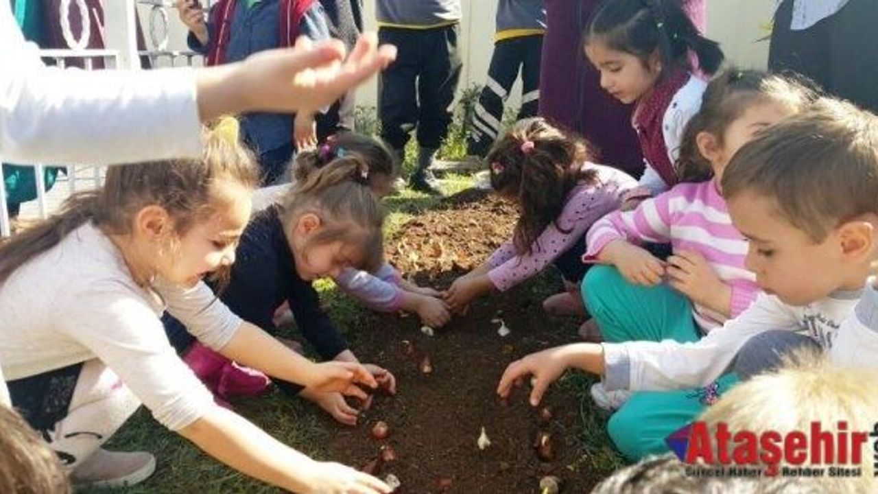 Ataşehir'de Çocuklar Baharı Lale Soğanı Dikerek Karşıladılar