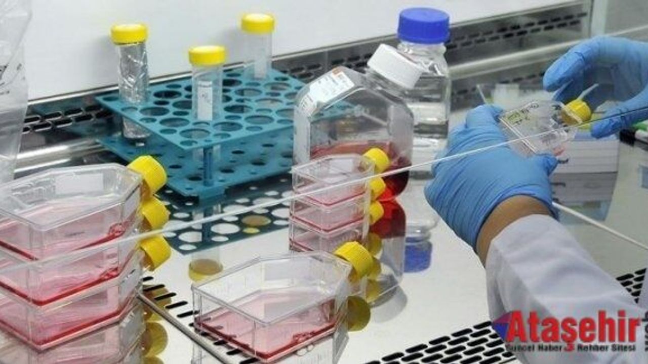 Yan etkisi olmayan ağrı kesici geliştirildi